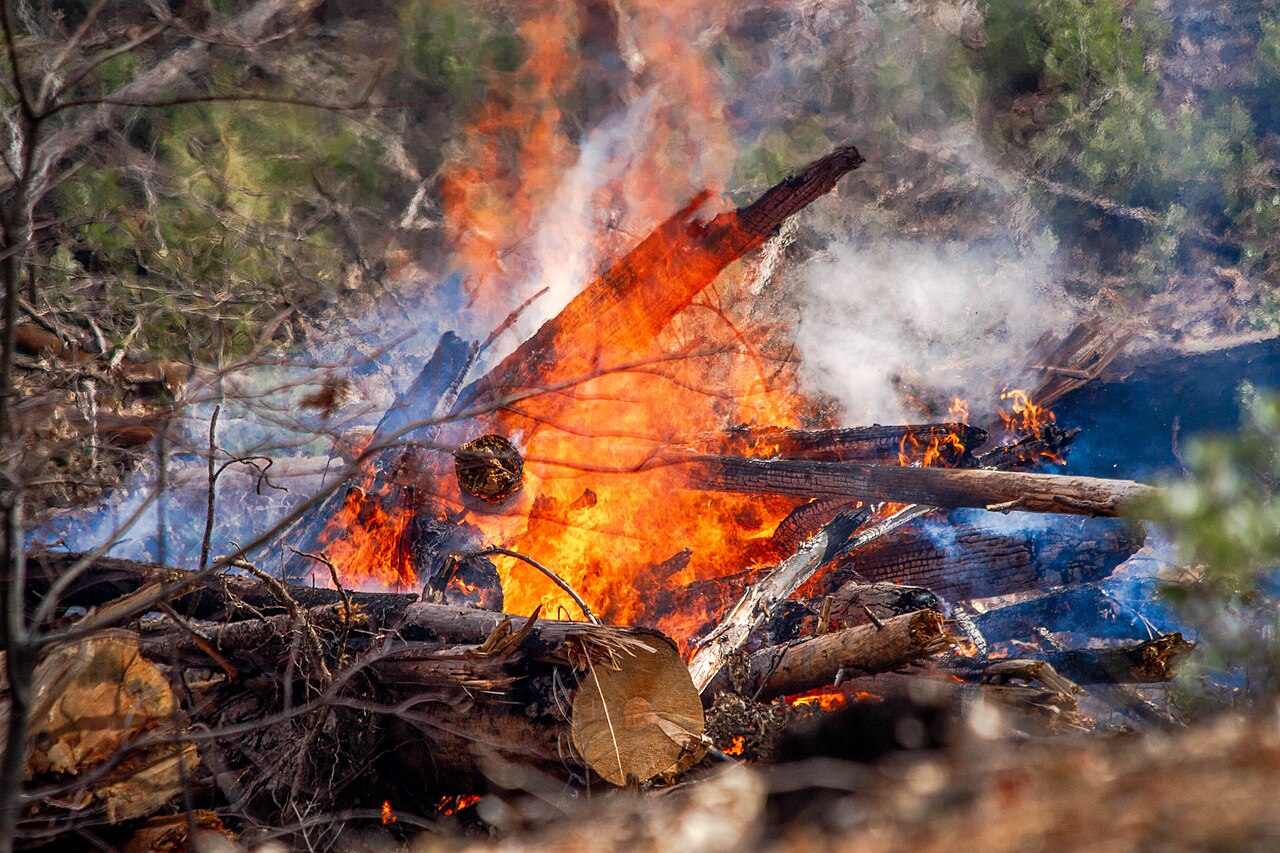 Fire crews carrying out a controlled prescribed burn