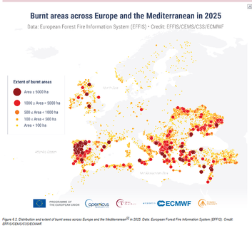 Map of reported burned areas across Europe and the Mediterranean in 2025